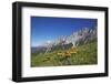 Fungi in the Grass of the Marienberg Alp Near Biberwier in Tyrol, Mountaintop-Uwe Steffens-Framed Photographic Print