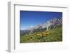 Fungi in the Grass of the Marienberg Alp Near Biberwier in Tyrol, Mountaintop-Uwe Steffens-Framed Photographic Print