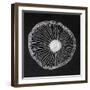 Fungi-Jim Occi-Framed Giclee Print