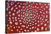 Fungus, Fly Agaric Detailed Study of Cap-null-Stretched Canvas