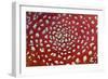 Fungus, Fly Agaric Detailed Study of Cap-null-Framed Photographic Print