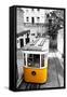 Funicular (Elevador Do Lavra) in Lisbon, Portugal-Zoom-zoom-Framed Stretched Canvas