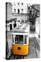 Funicular (Elevador Do Lavra) in Lisbon, Portugal-Zoom-zoom-Stretched Canvas