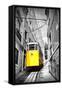 Funicular (Elevador Do Lavra) in Lisbon, Portugal-Zoom-zoom-Framed Stretched Canvas