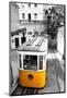 Funicular (Elevador Do Lavra) in Lisbon, Portugal-Zoom-zoom-Mounted Photographic Print