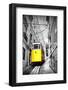 Funicular (Elevador Do Lavra) in Lisbon, Portugal-Zoom-zoom-Framed Photographic Print