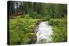 Funicular to Reichenbach Falls, Meiringen, Switzerland, Europe-Christian Kober-Stretched Canvas