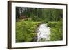 Funicular to Reichenbach Falls, Meiringen, Switzerland, Europe-Christian Kober-Framed Photographic Print