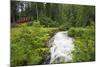 Funicular to Reichenbach Falls, Meiringen, Switzerland, Europe-Christian Kober-Mounted Photographic Print