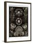 Funji-Ernst Haeckel-Framed Art Print