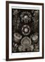 Funji-Ernst Haeckel-Framed Art Print