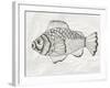 Funky Fish-alexmakarova-Framed Art Print