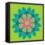 Funky Frida Flower-Belen Mena-Framed Stretched Canvas