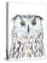 Funky Owl Portrait II-June Erica Vess-Stretched Canvas