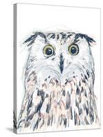 Funky Owl Portrait II-June Erica Vess-Stretched Canvas