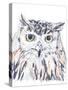 Funky Owl Portrait III-June Erica Vess-Stretched Canvas