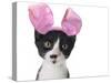 Funny Black and White Kitten Wearing Pink Easter Bunny Ears-Hannamariah-Stretched Canvas