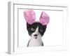 Funny Black and White Kitten Wearing Pink Easter Bunny Ears-Hannamariah-Framed Photographic Print