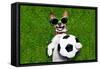 Funny Brazil Soccer Dog-Javier Brosch-Framed Stretched Canvas