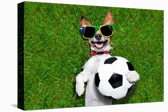 Funny Brazil Soccer Dog-Javier Brosch-Stretched Canvas