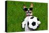 Funny Brazil Soccer Dog-Javier Brosch-Stretched Canvas