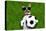 Funny Brazil Soccer Dog-Javier Brosch-Stretched Canvas