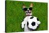 Funny Brazil Soccer Dog-Javier Brosch-Stretched Canvas