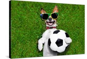 Funny Brazil Soccer Dog-Javier Brosch-Stretched Canvas