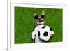 Funny Brazil Soccer Dog-Javier Brosch-Framed Photographic Print