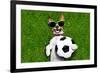 Funny Brazil Soccer Dog-Javier Brosch-Framed Photographic Print