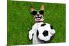 Funny Brazil Soccer Dog-Javier Brosch-Mounted Photographic Print