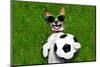 Funny Brazil Soccer Dog-Javier Brosch-Mounted Photographic Print