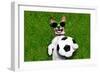 Funny Brazil Soccer Dog-Javier Brosch-Framed Photographic Print