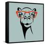 Funny Camel Wearing Glasses. Vector Illustration for T Shirt, Poster, Print Design.-TeddyandMia-Framed Stretched Canvas