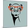 Funny Camel Wearing Glasses. Vector Illustration for T Shirt, Poster, Print Design.-TeddyandMia-Mounted Art Print