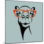 Funny Camel Wearing Glasses. Vector Illustration for T Shirt, Poster, Print Design.-TeddyandMia-Mounted Premium Giclee Print