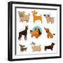 Funny Cartoon Dogs-venimo-Framed Art Print