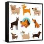 Funny Cartoon Dogs-venimo-Framed Stretched Canvas