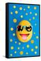 Funny Cheerful Melon with Sunglasses on a Blue Colorful-Lobro-Framed Stretched Canvas