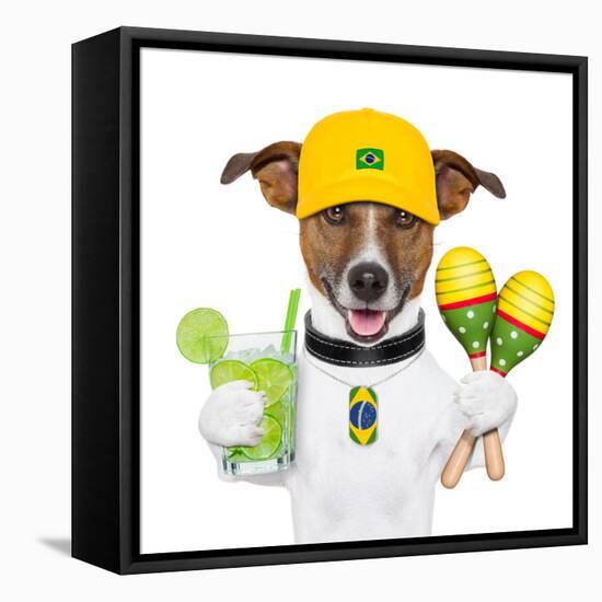 Funny Dog Brazil-Javier Brosch-Framed Stretched Canvas