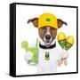 Funny Dog Brazil-Javier Brosch-Framed Stretched Canvas