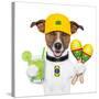 Funny Dog Brazil-Javier Brosch-Stretched Canvas