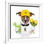 Funny Dog Brazil-Javier Brosch-Framed Photographic Print