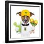 Funny Dog Brazil-Javier Brosch-Framed Photographic Print