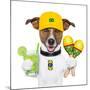 Funny Dog Brazil-Javier Brosch-Mounted Photographic Print