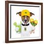 Funny Dog Brazil-Javier Brosch-Framed Photographic Print