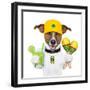 Funny Dog Brazil-Javier Brosch-Framed Photographic Print