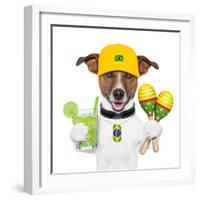 Funny Dog Brazil-Javier Brosch-Framed Photographic Print