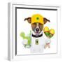 Funny Dog Brazil-Javier Brosch-Framed Photographic Print