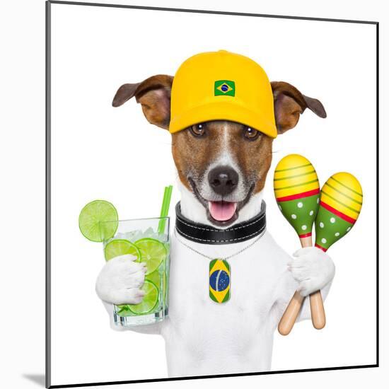 Funny Dog Brazil-Javier Brosch-Mounted Photographic Print